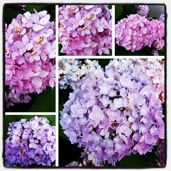 Enterprise RentACar Rental Car Location in Woburn