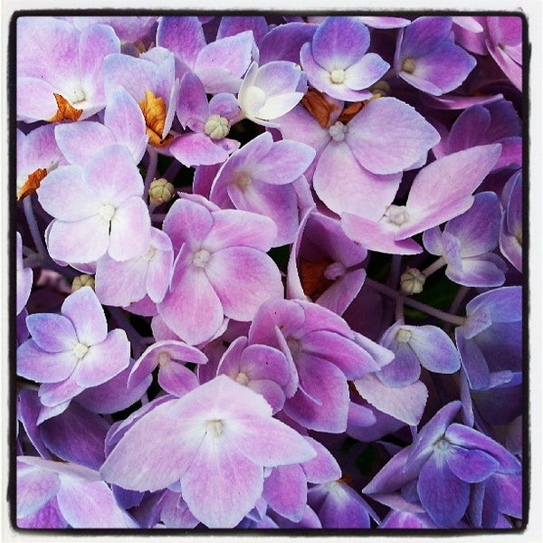 Enterprise RentACar Rental Car Location in Woburn