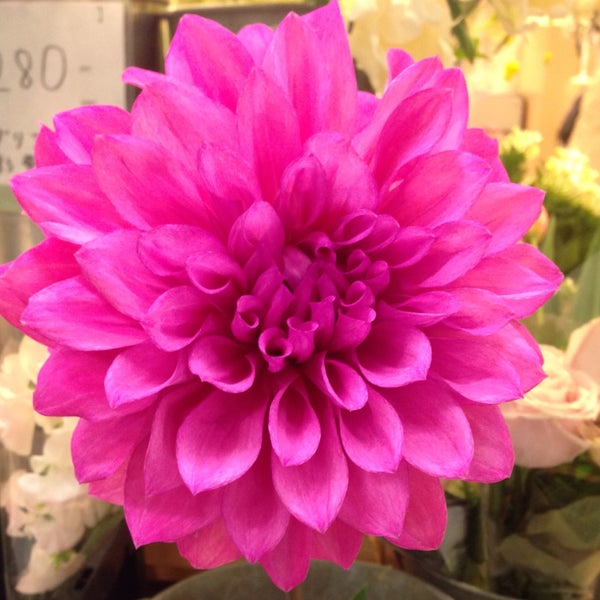 Photos At フラワーショップ花次郎 梅田店 梅田 1 Tip Photos At フラワーショップ花次郎 梅田店 梅田 1 Tip