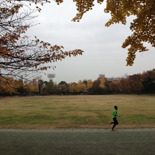中央 公園 城北