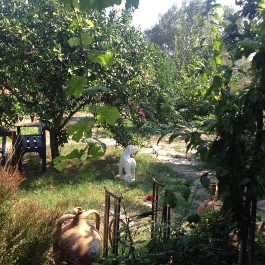 Asmalı Çardak 248 tips