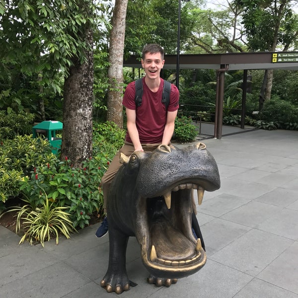 2/9/2017 tarihinde James M.ziyaretçi tarafından Singapore Zoo'de çekilen fotoğraf