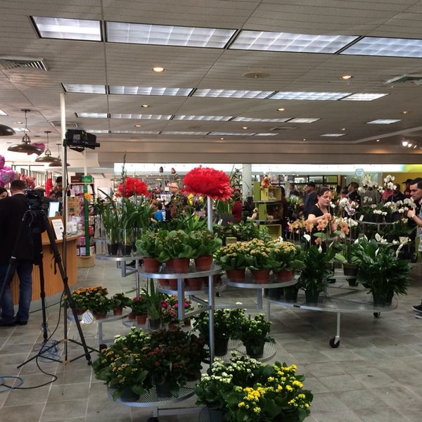 Field Of Flowers Flower Store in Davie