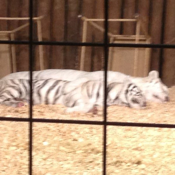 Foto tomada en Wild Adventures Theme Park  por D&#39;s.  🌞🐎⛵ B. el 12/23/2012