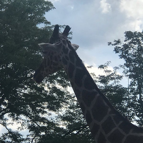 Das Foto wurde bei Henry Vilas Zoo von Terry H. am 8/24/2019 aufgenommen