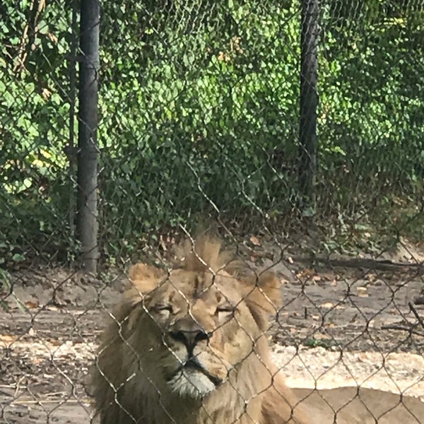 รูปภาพถ่ายที่ Henry Vilas Zoo โดย Terry H. เมื่อ 8/24/2019