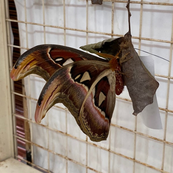 Photos At アヤミハビル館 3 Tips From 79 Visitors