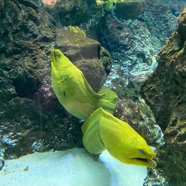 Photo taken at Aquarium Berlin by Steffen H. on 9/16/2021