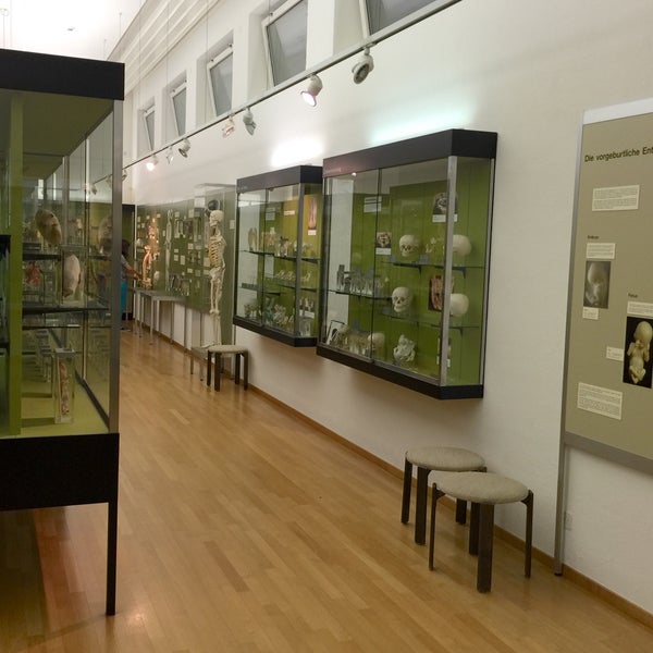 Fotos Bei Anatomisches Museum 2 Tipps