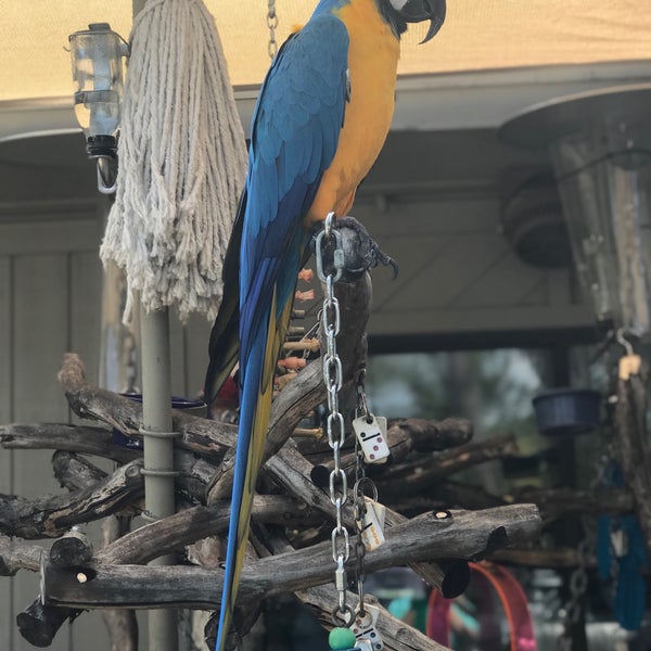 The Salty Dog TShirt Factory Hilton Head Island, SC