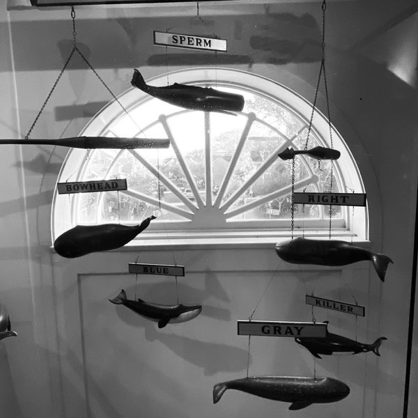 10/15/2020 tarihinde Jennifer 8. L.ziyaretçi tarafından The Whaling Museum'de çekilen fotoğraf