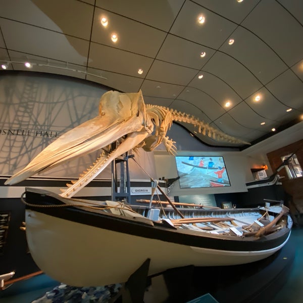 Снимок сделан в The Whaling Museum пользователем Jennifer 8. L. 8/8/2020