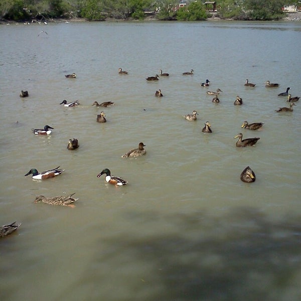 My Image 13