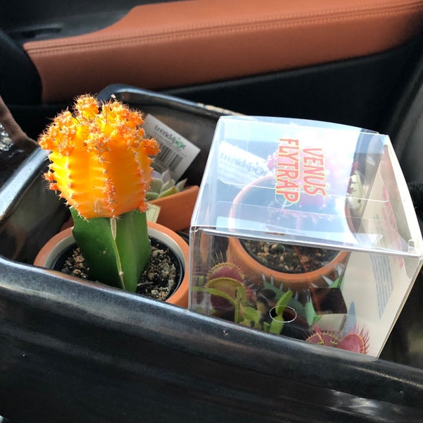 The Home Depot 1100 NE C St