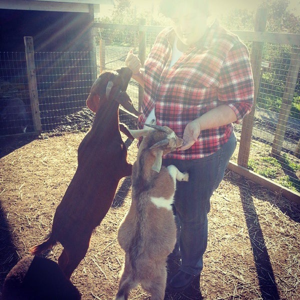 10/27/2013 tarihinde Logan T.ziyaretçi tarafından Applebarn at Taves Family Farms'de çekilen fotoğraf