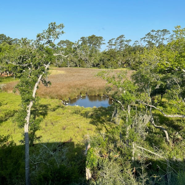 Daniel Island, SC Town in Daniel Island