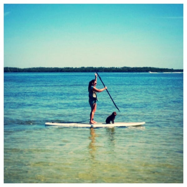 Picnic Island