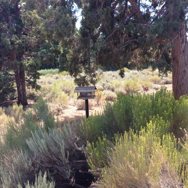 Photo taken at Big Bear Discovery Center by Jason on 8/4/2013