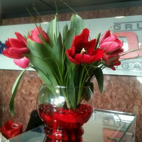 Fotos en Corporativo Dos Patios - Polanco - 9 tips de 1689 visitantes