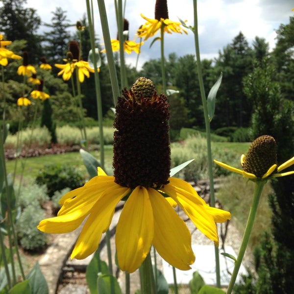 7/20/2014 tarihinde Bernadette B.ziyaretçi tarafından Greenwood Gardens'de çekilen fotoğraf