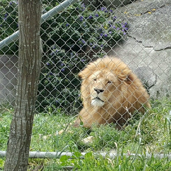 Photo taken at Wellington Zoo by Rianne on 12/17/2016