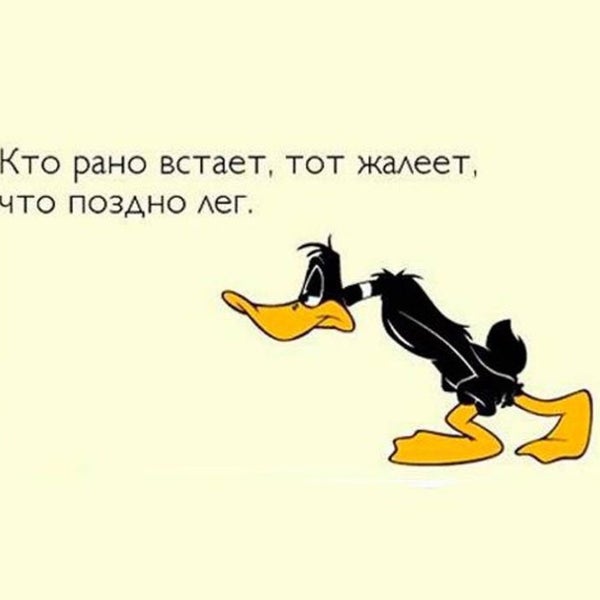 Кто то работает а кто то отдыхает картинка юмор