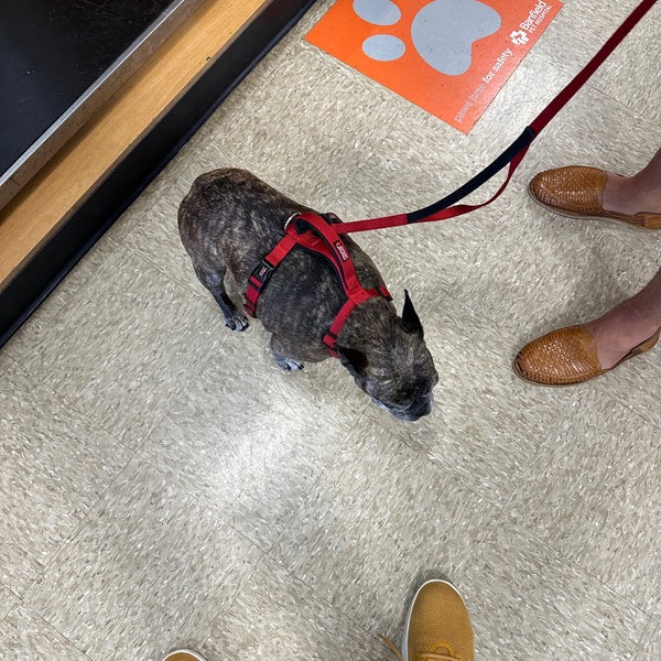 PetSmart Reston, VA