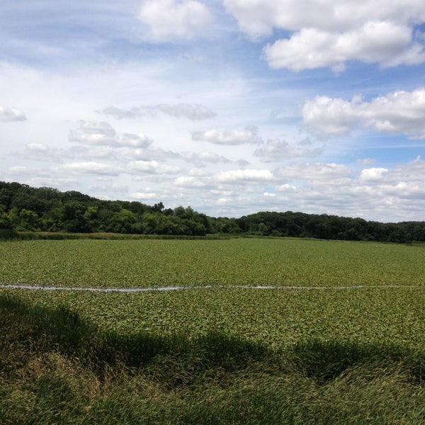 McGinnis Slough (Cook County Forest Preserve) Orland Park, IL