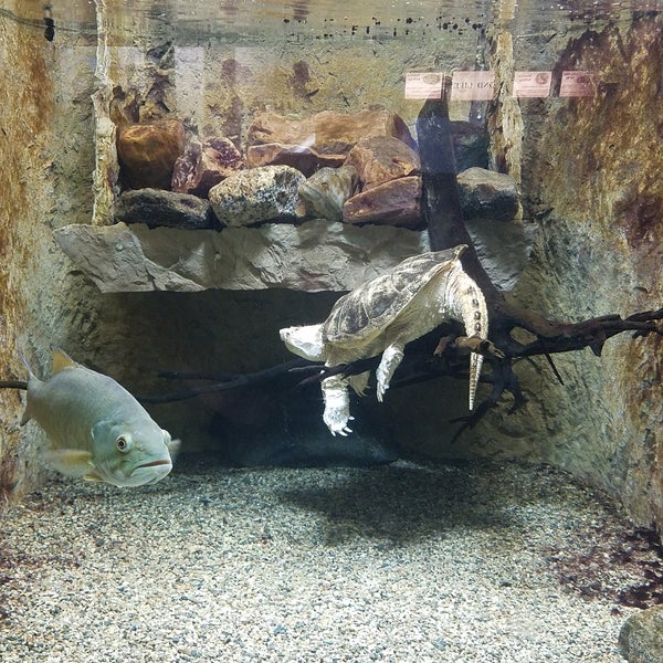 Gavins Point Natl. Fish Hatchery/Aquarium West Yankton, SD