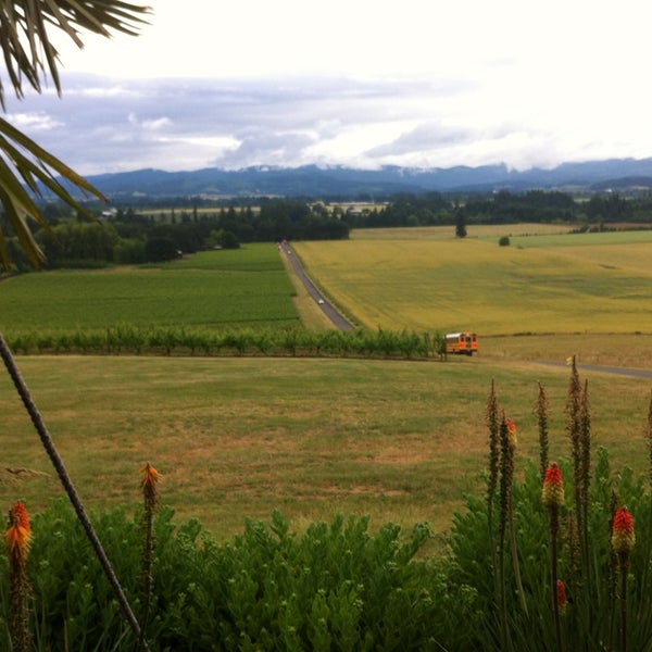 Photo taken at Anne Amie Vineyards by Byron C. on 6/24/2013