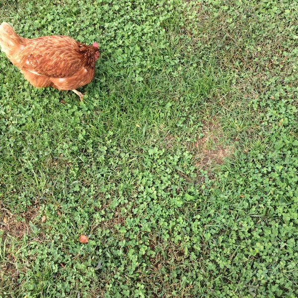 Photo taken at Sprout Creek Farm by Michael on 9/30/2017