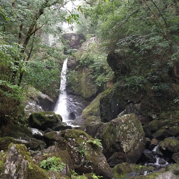 Devils Glen Waterfall, Eas Gleann Diabhail, Ashford, Co Wicklow, devils gle...