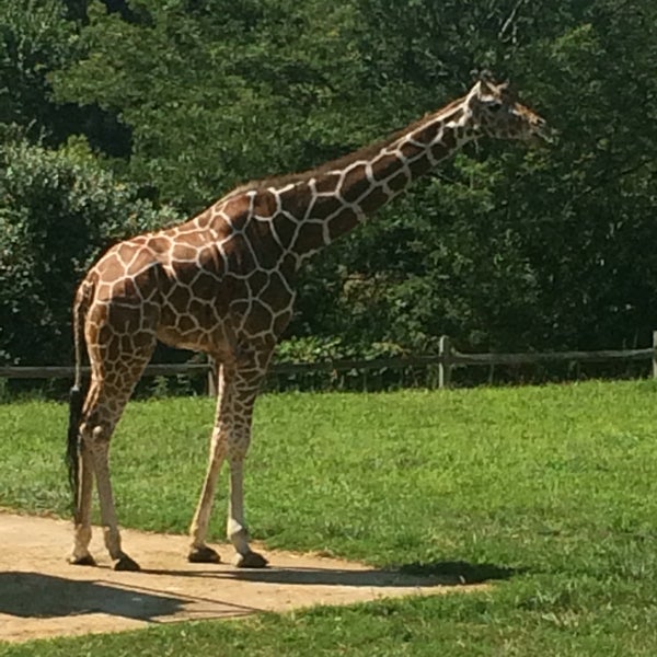 Photo taken at Cape May County Zoo Society by Michael L. on 8/9/2016