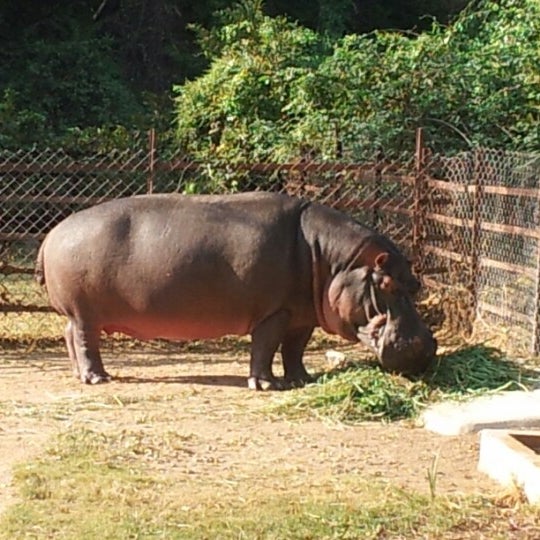 Nehru Zoological Park - Hyderabad, Telangana Nehru Zoological Park - Hyderabad, Telangana