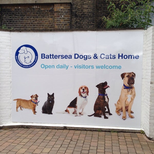 รูปภาพถ่ายที่ Battersea Dogs &amp; Cats Home โดย Kieran B. เมื่อ 5/24/2014