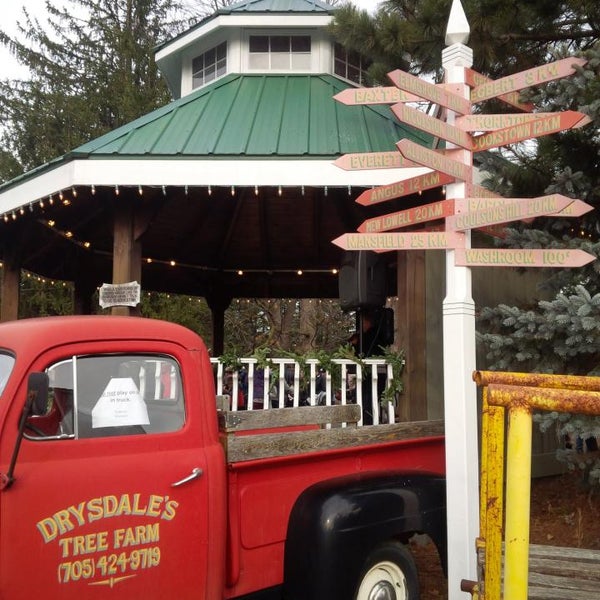 Drysdale's Tree Farm Farm