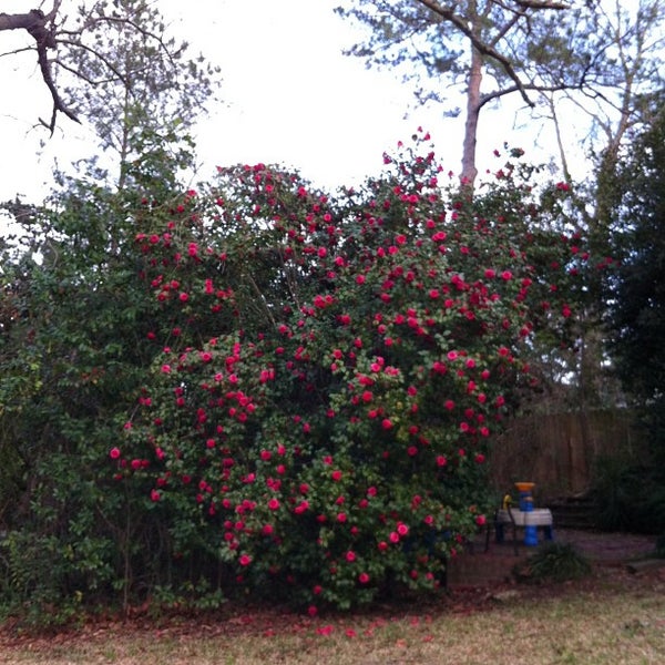 Photos at Belhaven Neighborhood Jackson, MS