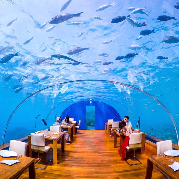 Подводный ресторан it
