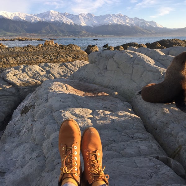 Peninsula Seal Colony and Walkway 1 tip from 70 visitors