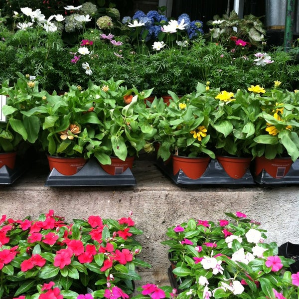 Photo taken at PlantShed New York Flowers by Courtney L. on 6/16/2013