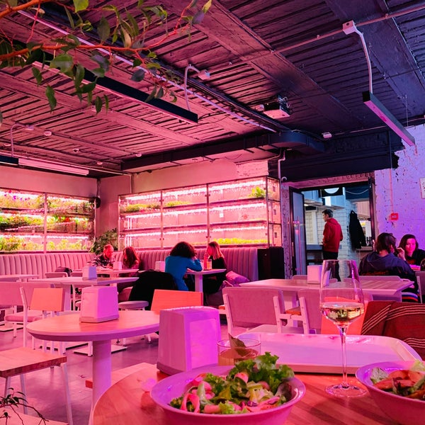 бар-теплица на кузнецком мосту. ресторан парник на кузнецком мосту. парник ресторан. бар парник кузнецкий мост. сад оранжерея кафе ресторан.