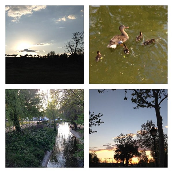 Las Rozas de Madrid City