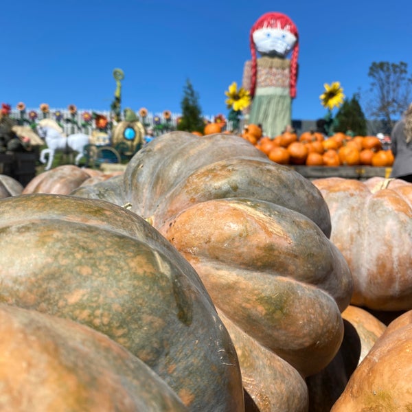 Photo taken at Linvilla Orchards by Chris W. on 9/19/2020