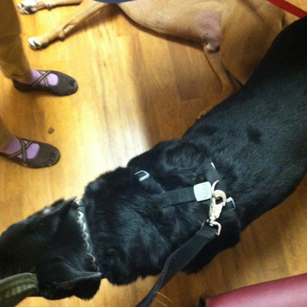 vca peone pines animal hospital