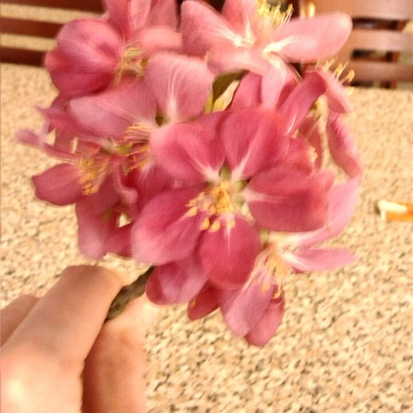 Red Flower Chinese Restaurant Restaurante chino en Big Stone Gap