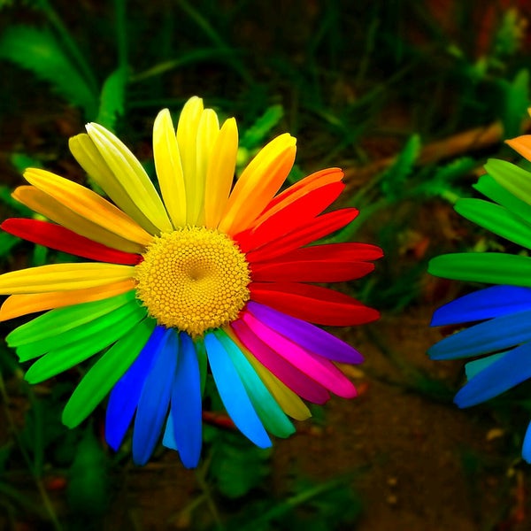 Photos At Hotel Benan Bar Restaurant Now Closed