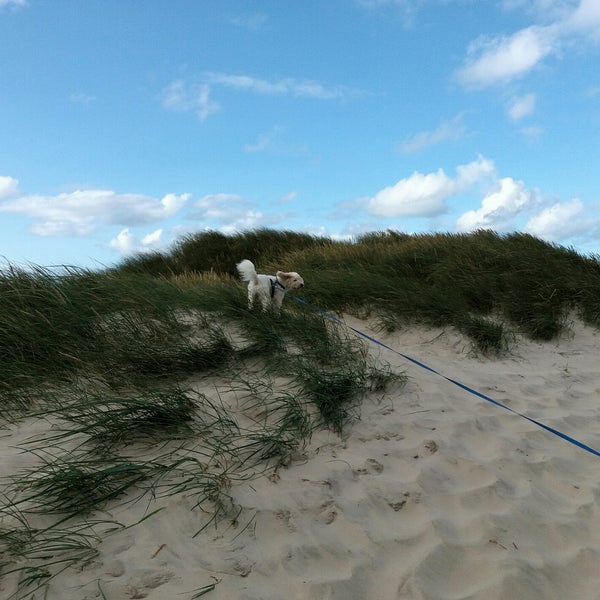 Strand c. Strand c