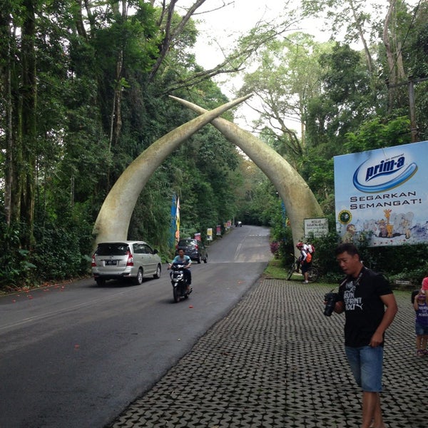 Taman Safari Indonesia - Zoo in Bogor