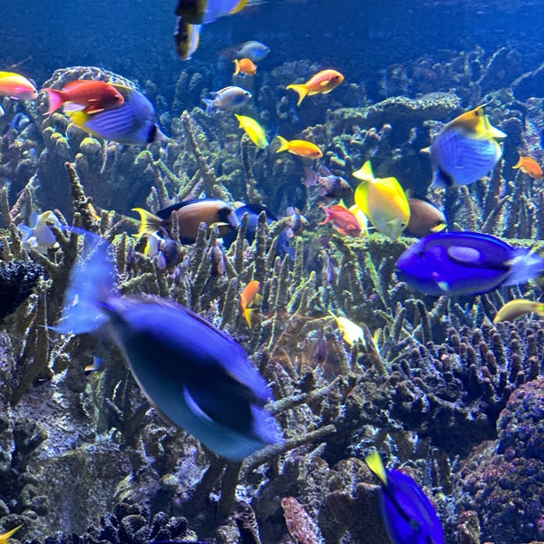 รูปภาพถ่ายที่ New England Aquarium โดย Jeff K. เมื่อ 8/20/2023