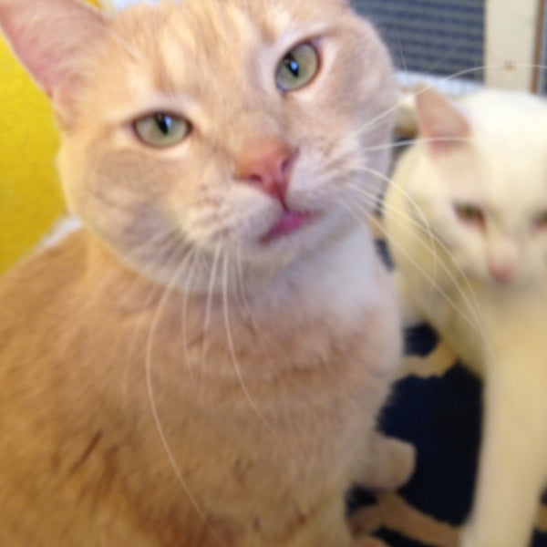 Photos at Woody's Pet Food Deli Edina, MN